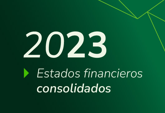 Estados Financieros Propuestas Consolidado 2023