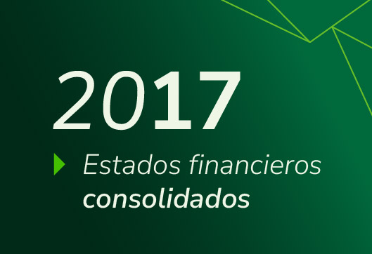 Estados Financieros Propuestas Consolidado 2017