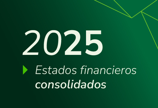 Estado Financiero Consolidado 2025 (1)